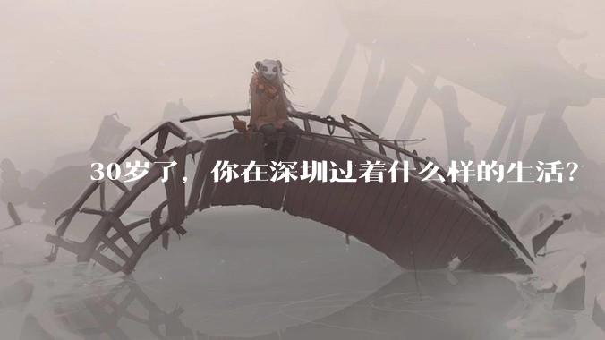 30岁了，你在深圳过着什么样的生活？