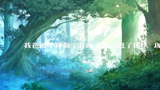 我爸被车撞做了开颅手术，进了ICU，现在肇事司机说责任不在他，不肯赔钱，怎么办？